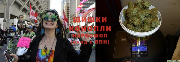 амф Карпинск